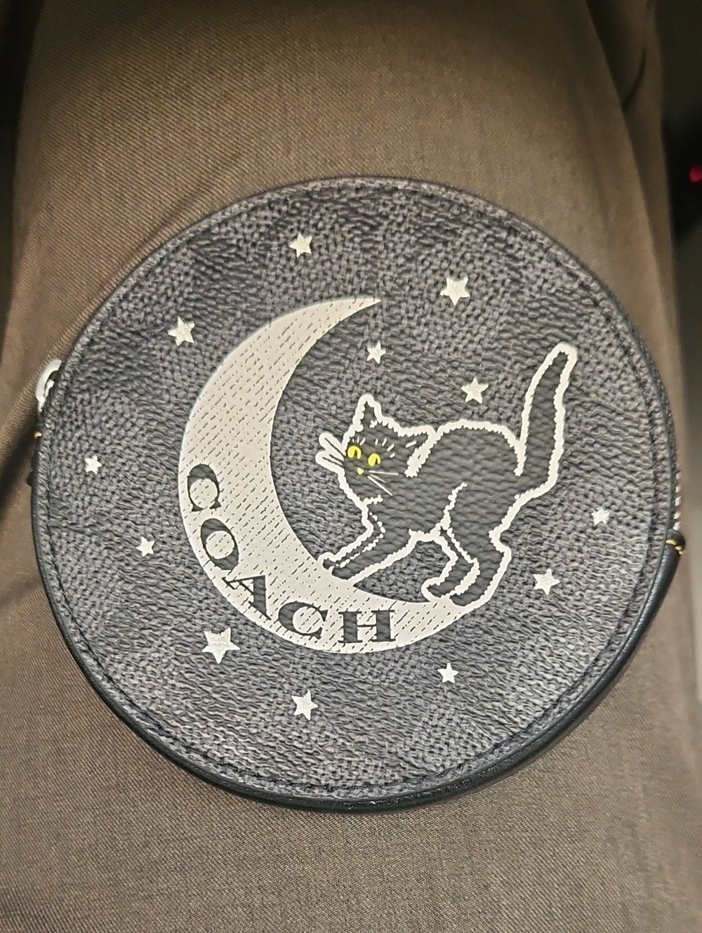 Coach Round Cat Moon Mini Coin Bag